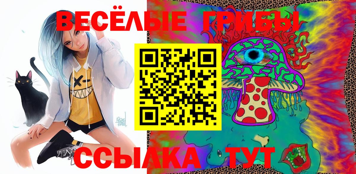 Галлюциногенные грибы Psilocybe Среднеуральск