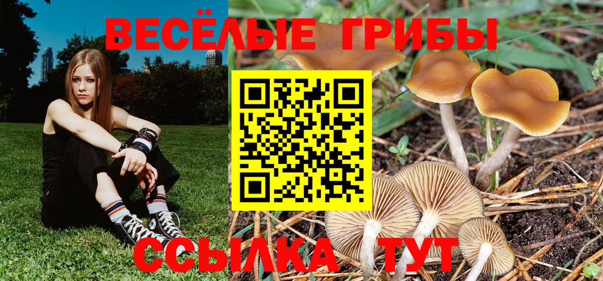 Галлюциногенные грибы GOLDEN TEACHER  Вход с VPN  Галлюциногенные грибы Psilocybine cubensis  Среднеуральск 